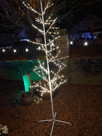 Customer review image