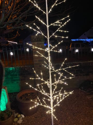 Customer review image