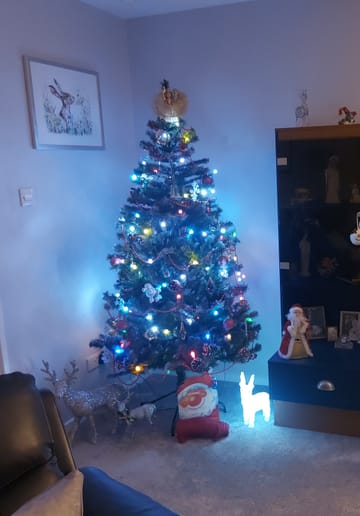 Customer review image