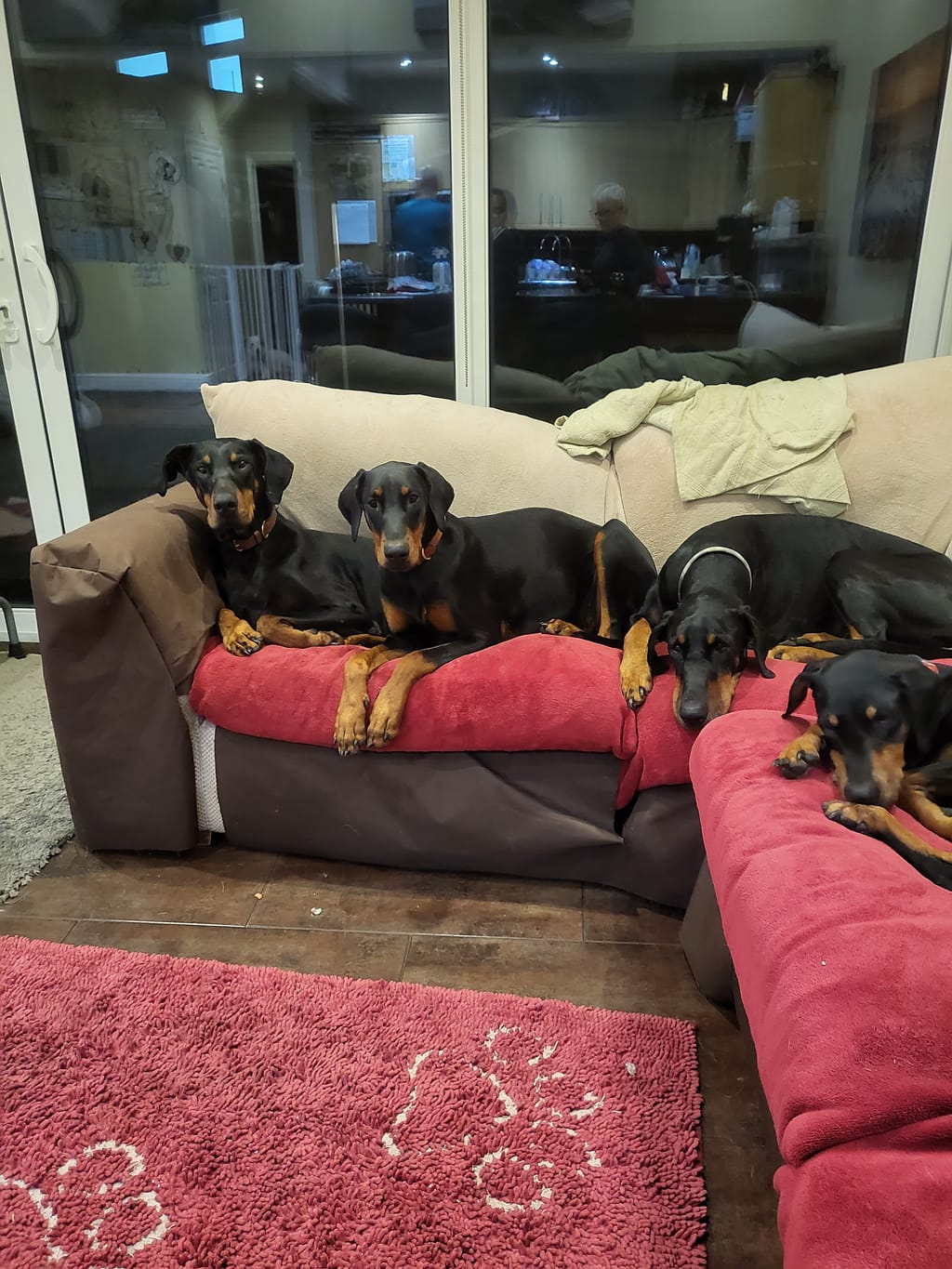 Photo from Mrs Gillian Knighton's review