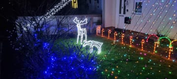 Customer review image