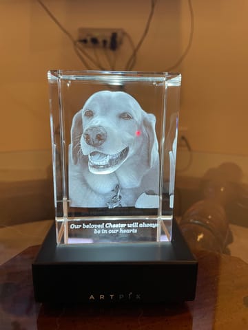 Buy Custom 3D Pet Photo LED Lamp, Engraved Wood Base, Pet Memorial Gift Online In India