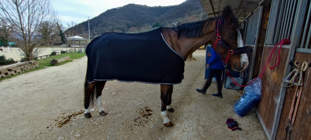 Coperta In Pile Rambo Modello Deluxe | Selleria Tombini