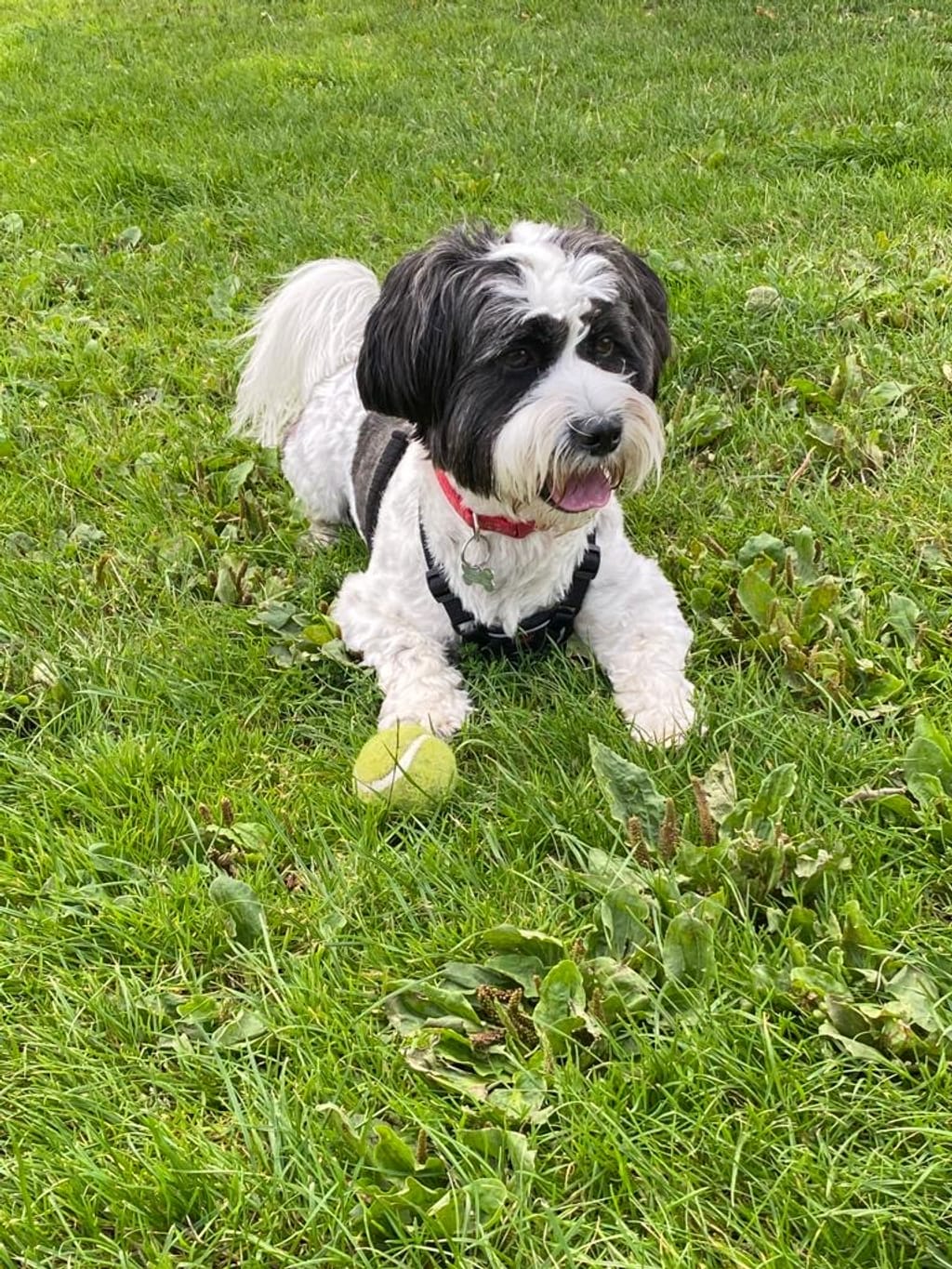 Photo from Mrs Lyn King's review