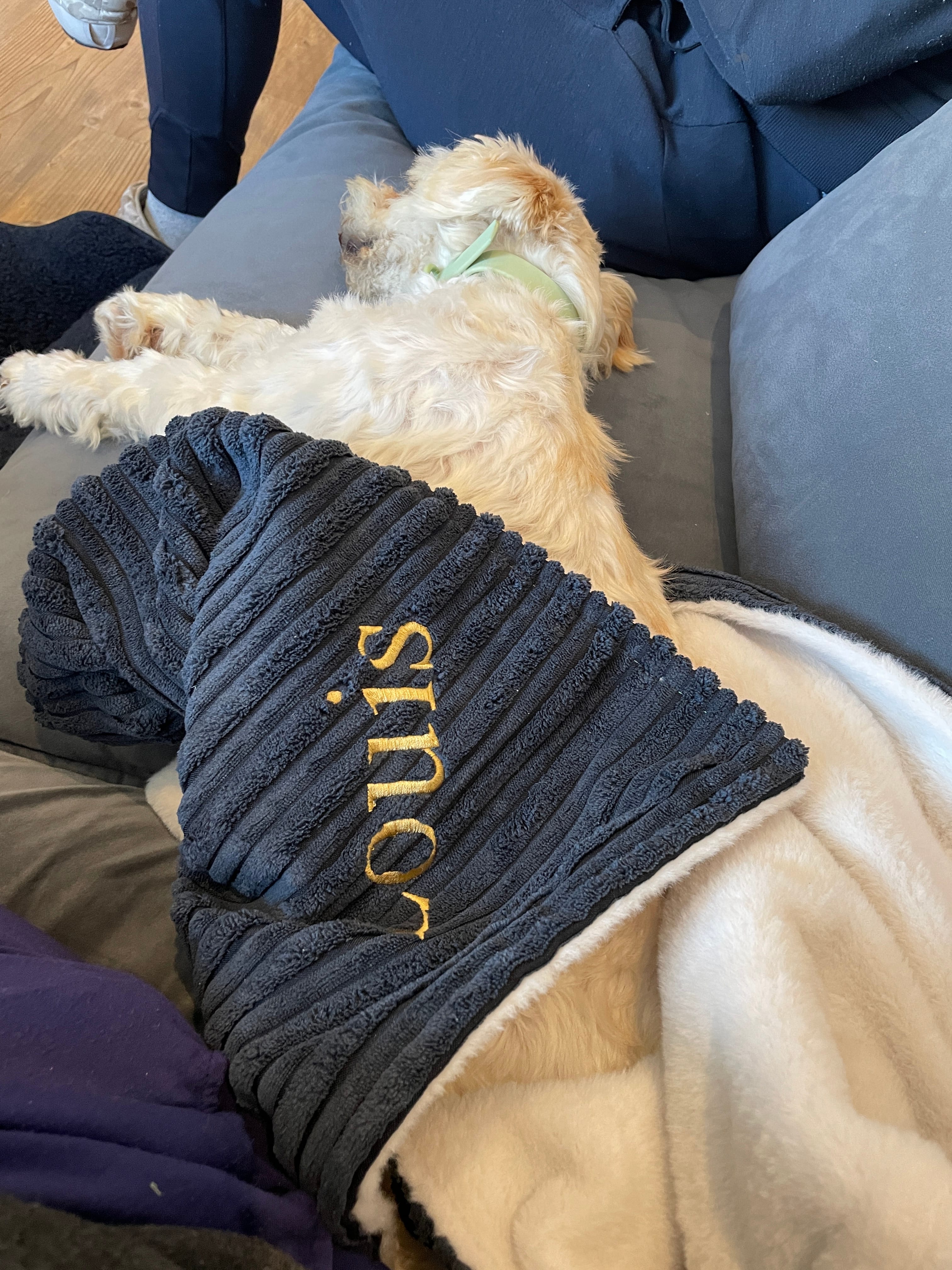 Navy Plush & Sherpa Dog & Puppy Blanket | Lords & Labradors Dog