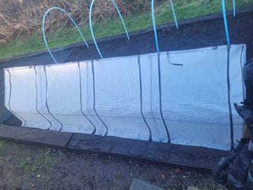 Customer review image