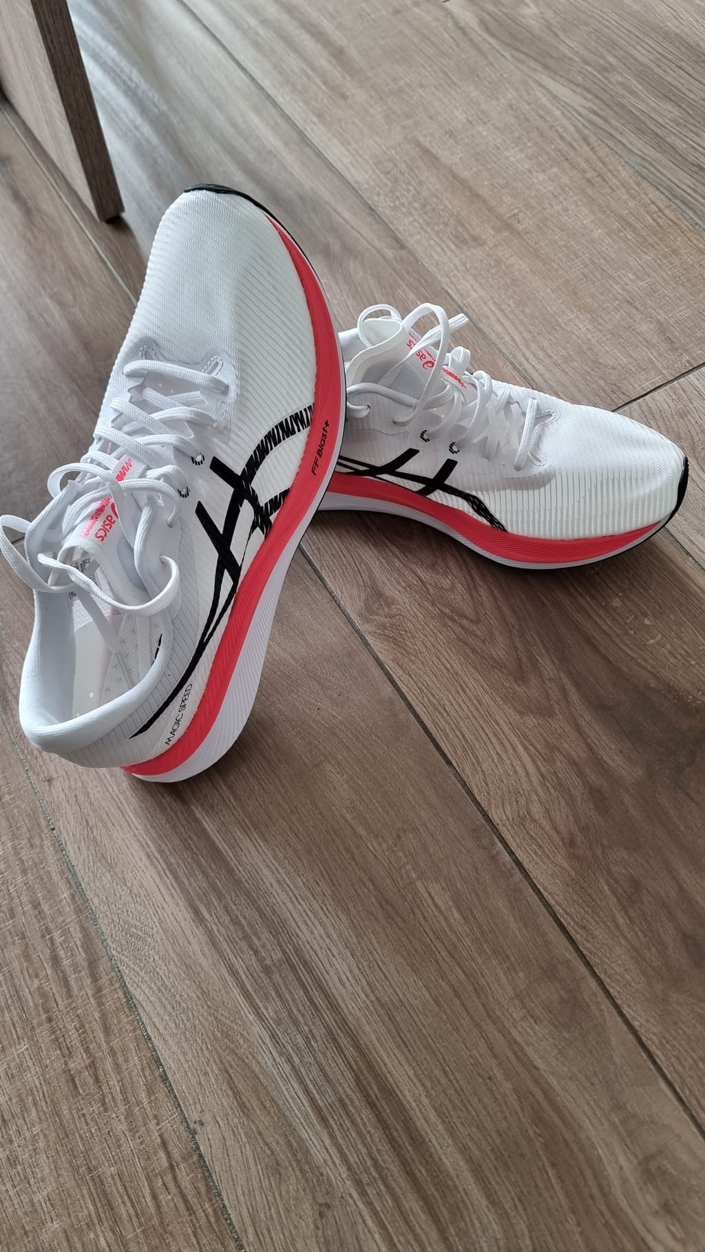 65f59333586ab8f4acb964ce_1024p