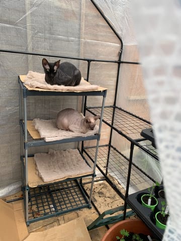 Customer review image