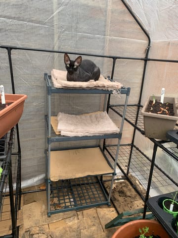 Customer review image