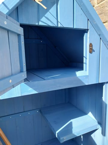 Customer review image