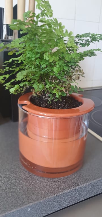 Photo de bérengère  marechal