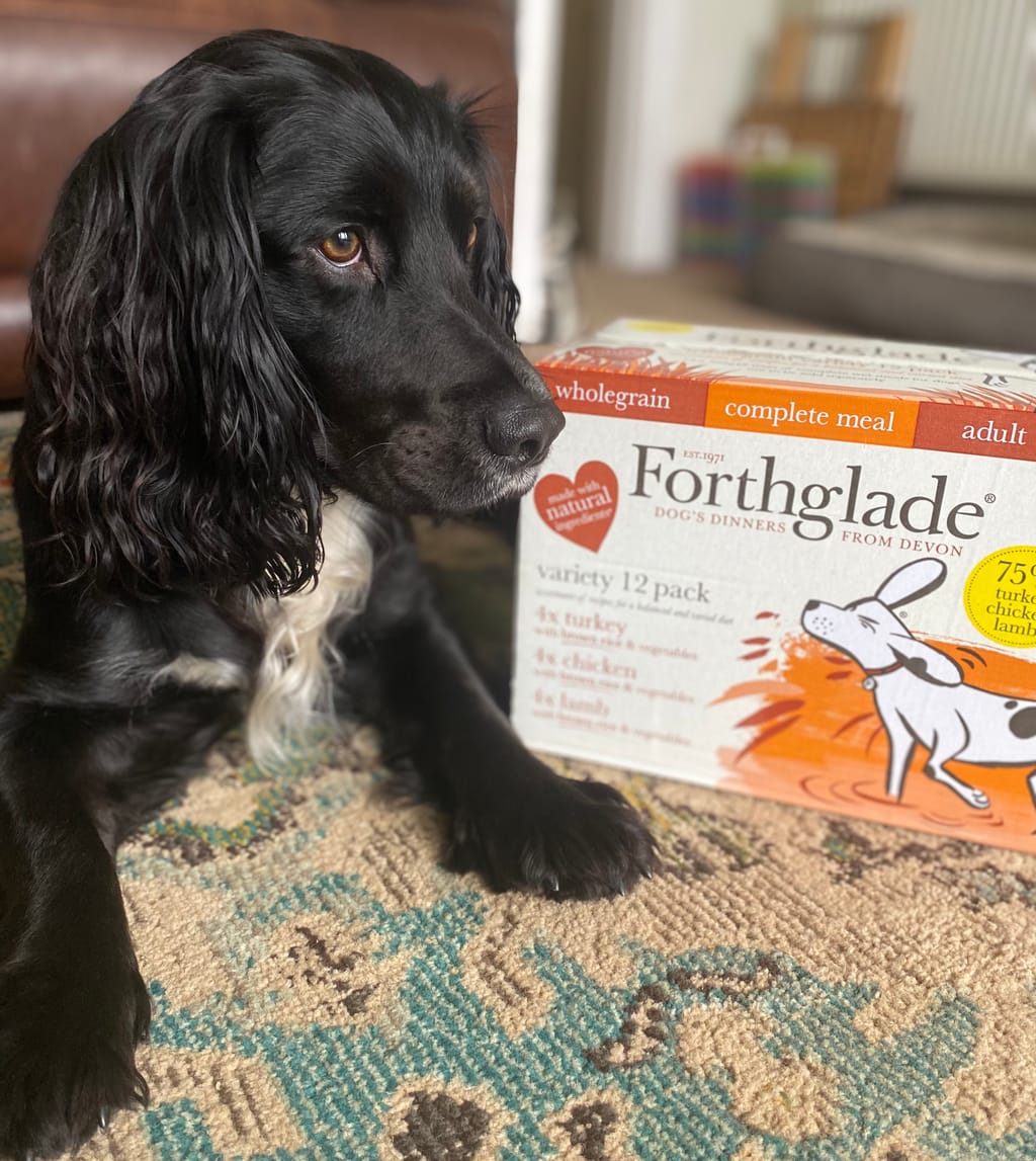 Photo from Kate T's review