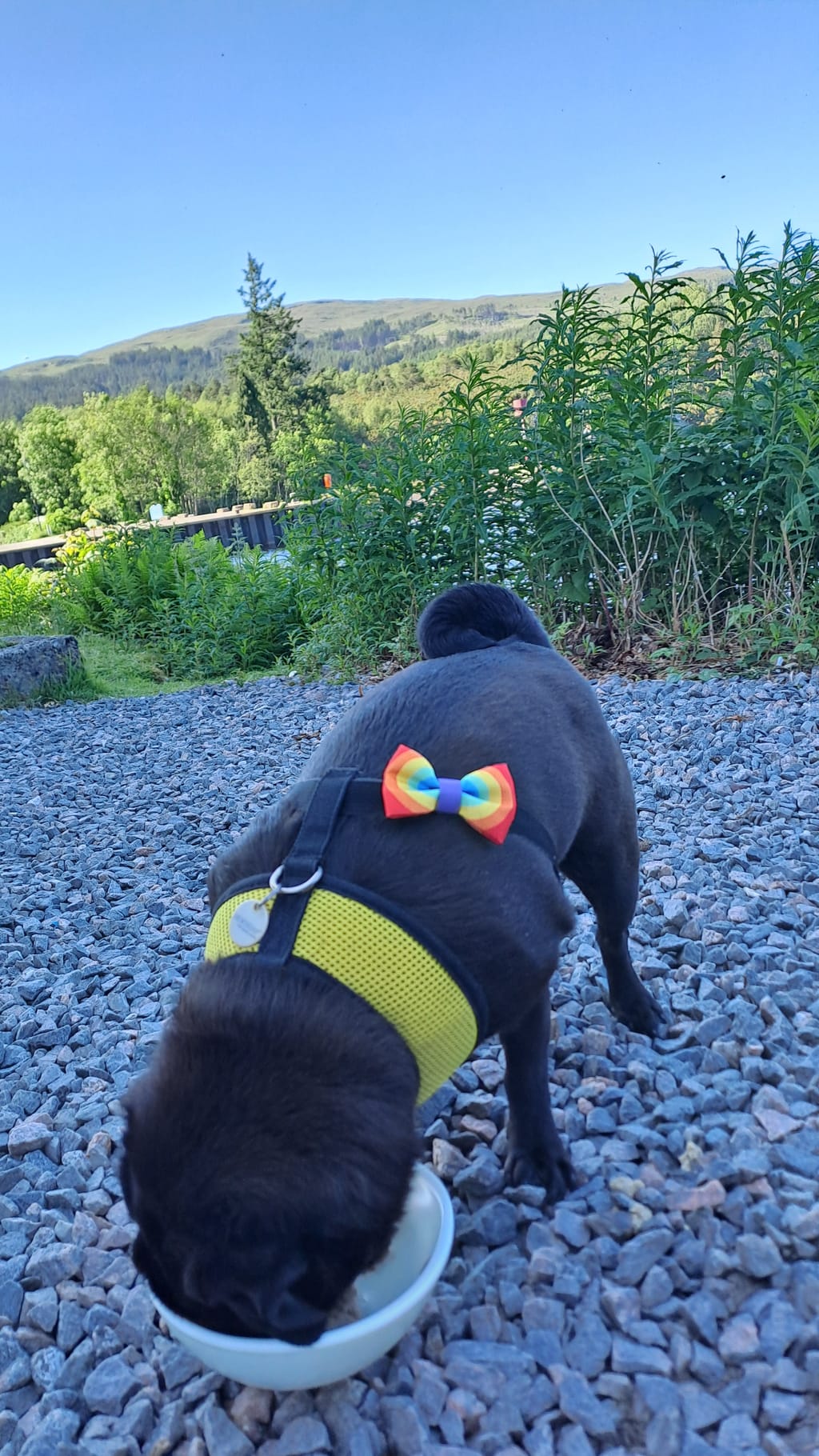 Photo from Louise's review