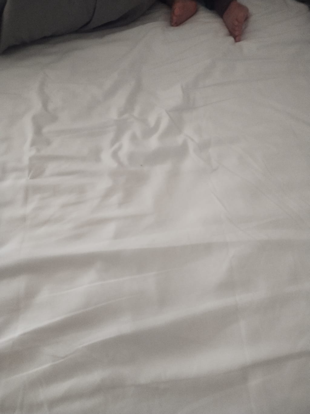 Customer review image