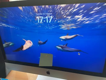 2019 Apple iMac 5K 27-inch Intel i5 3 GHz 6-core 16GB 256GB