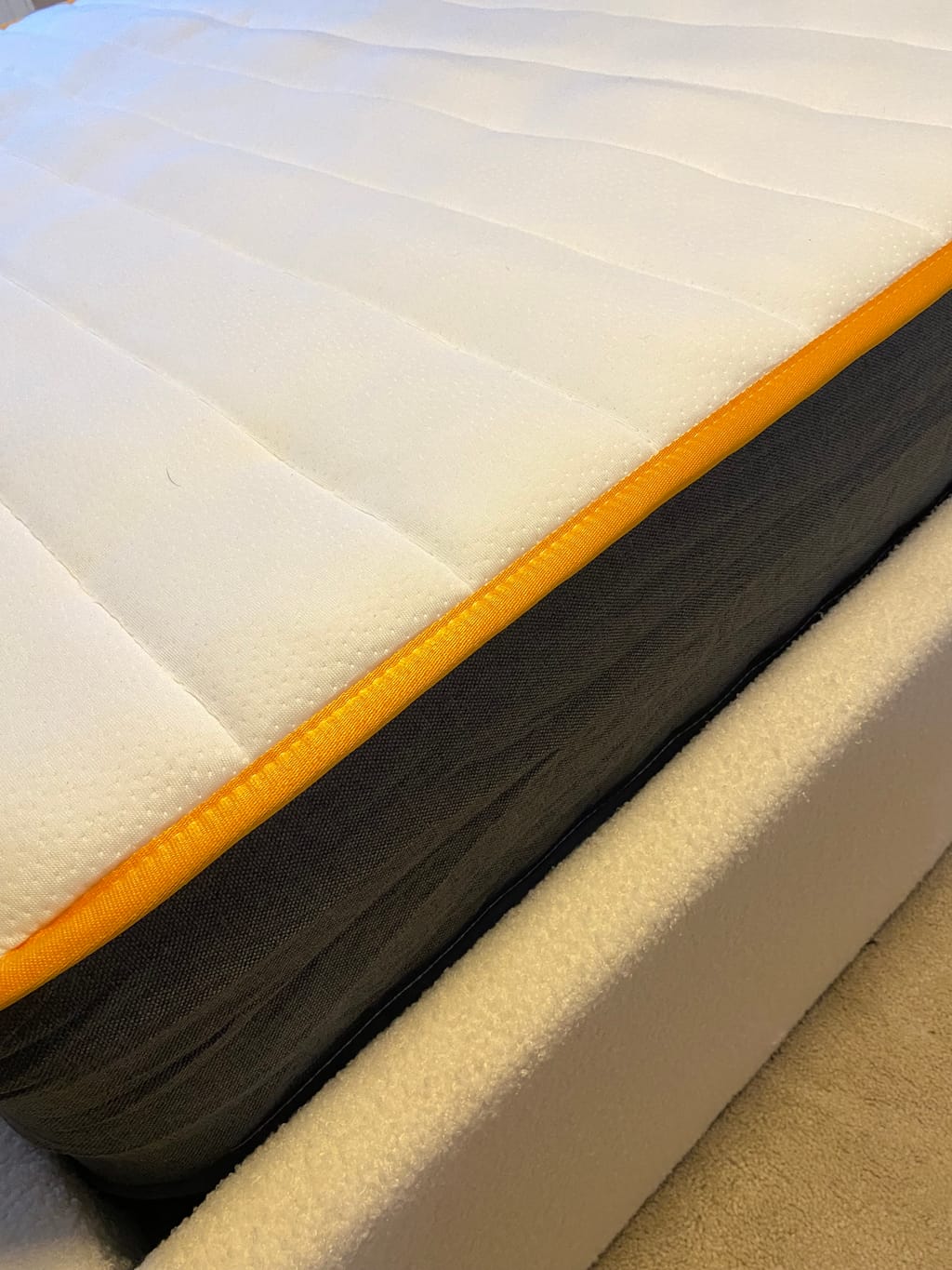 Customer review image