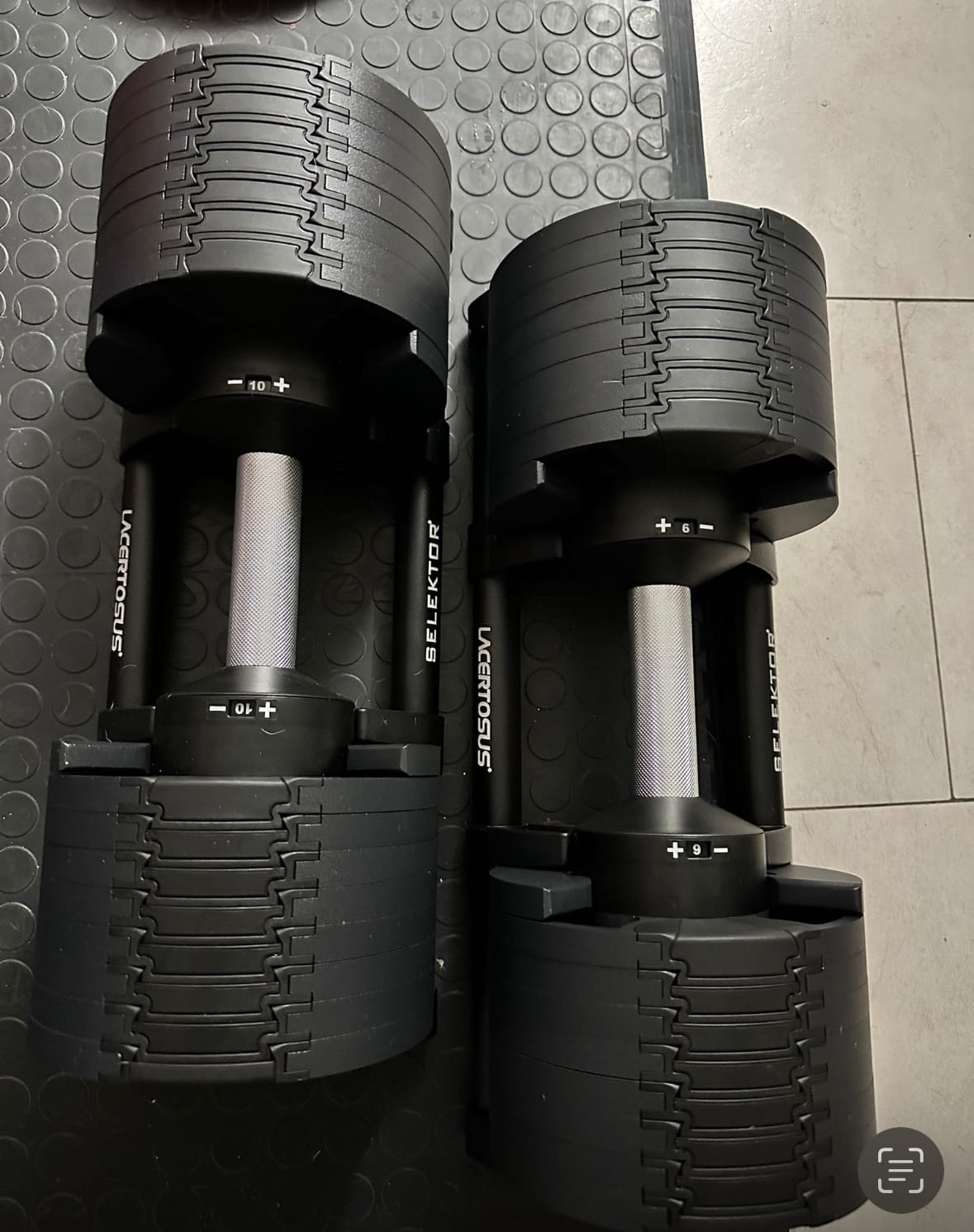 Adjustable Dumbbells Selektor 2-32 Kg | Elegance and Innovation