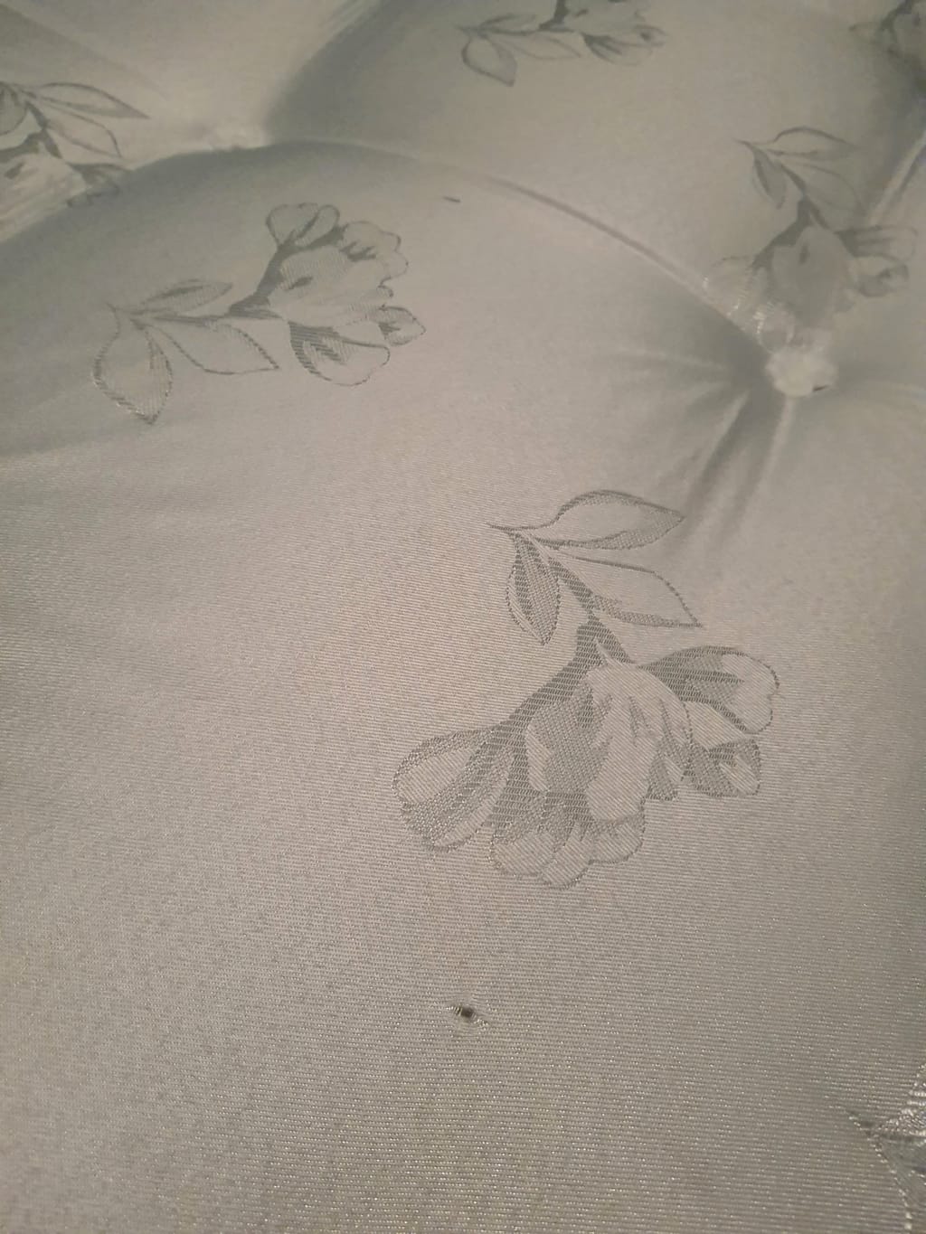 Customer review image