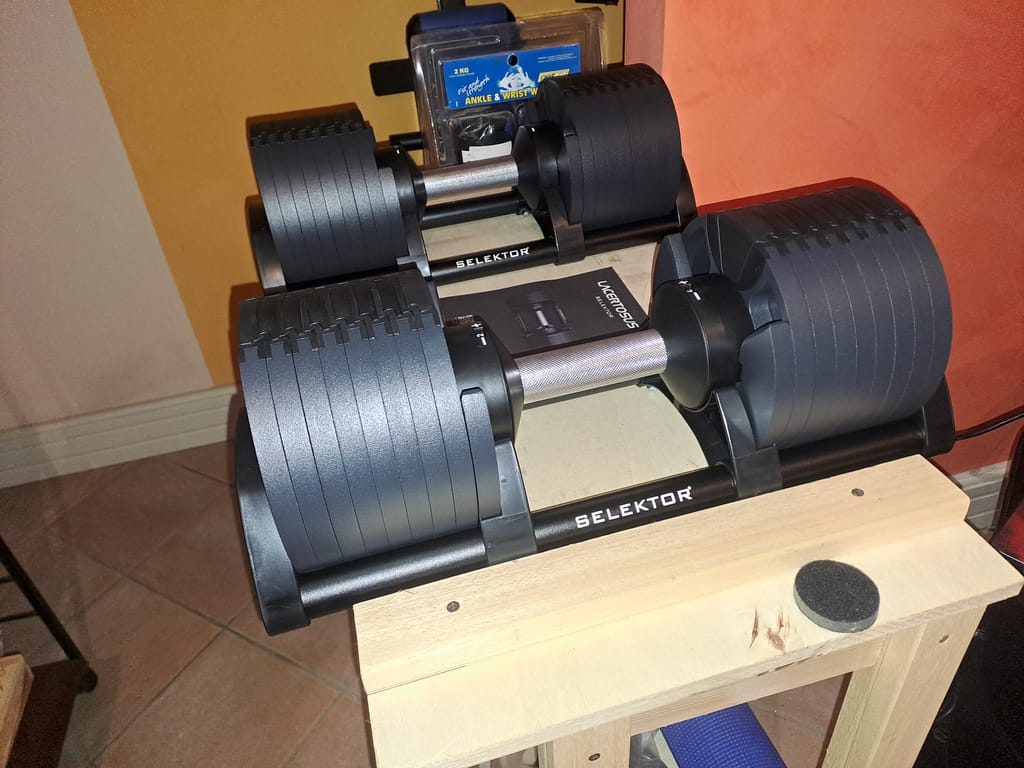 Selektor Adjustable Dumbbells 2-32 kg | Elegance and Innovation