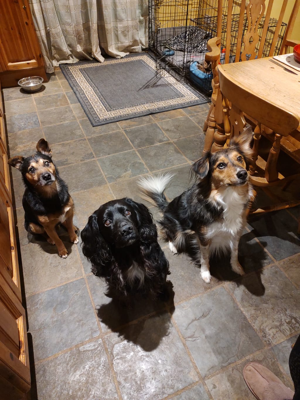 Photo from Deb Scarborough's review