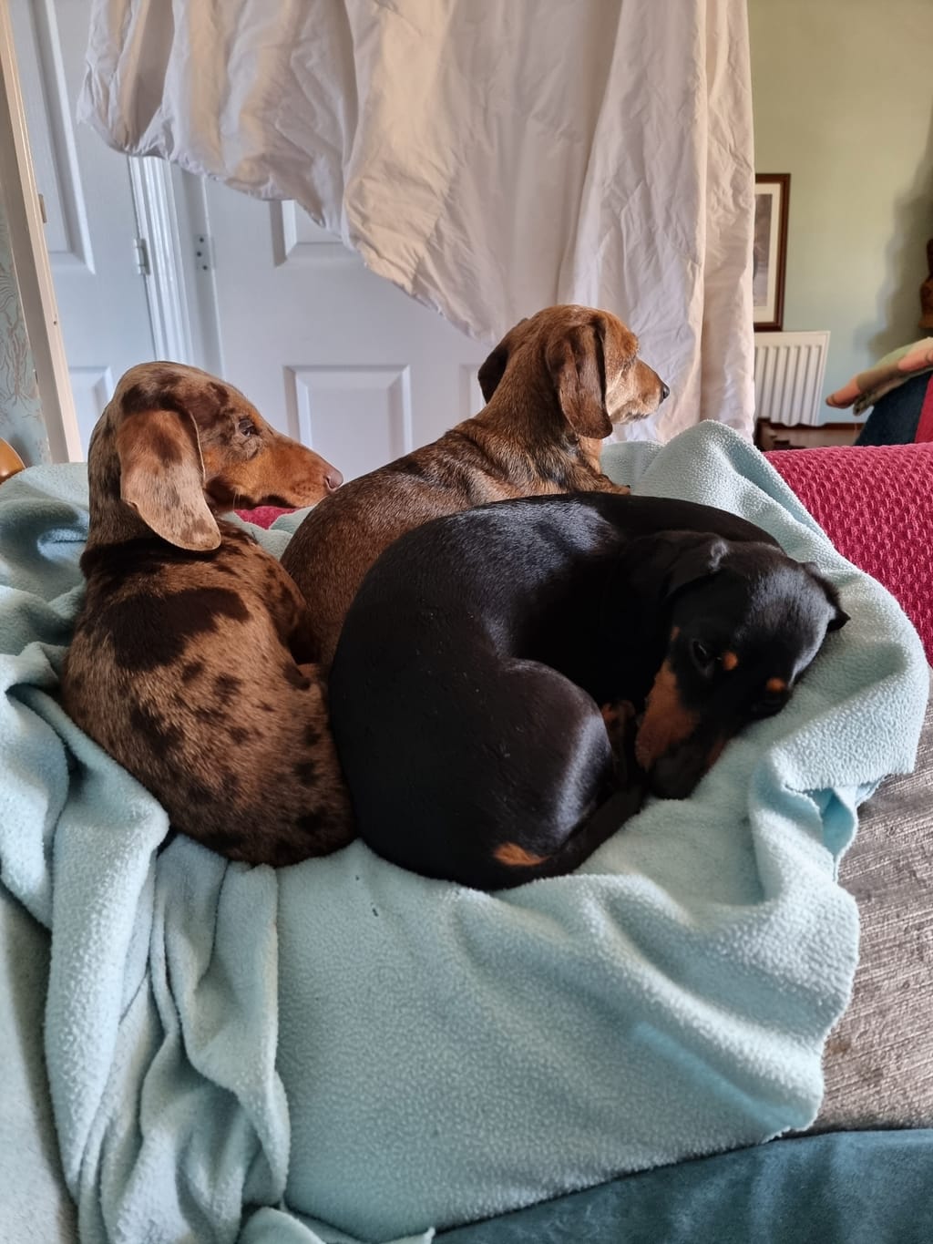 Photo from Heather Flether's review