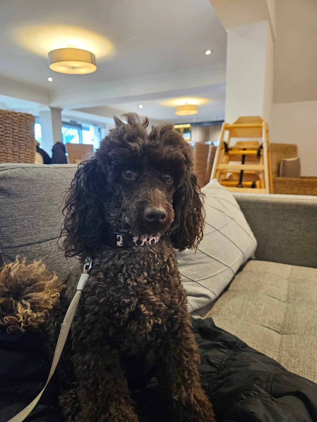 Photo from Mrs Jacki Chapman's review