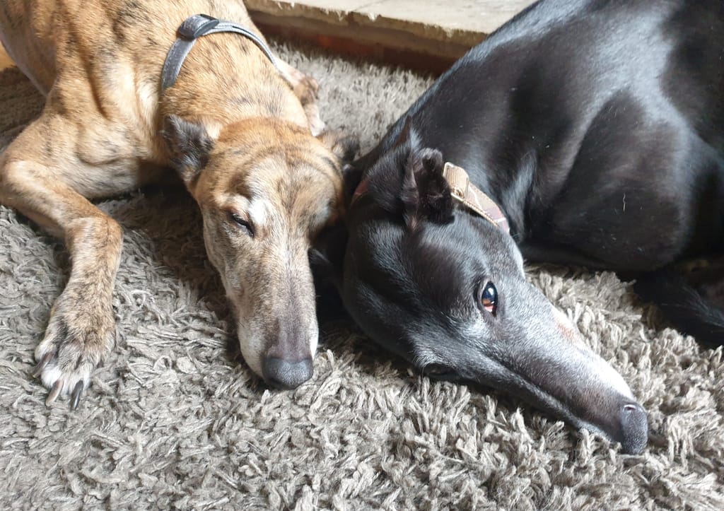 Photo from Deborah Davies's review