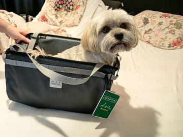 Borough Basket Bag Large Brompton Bicycle UK