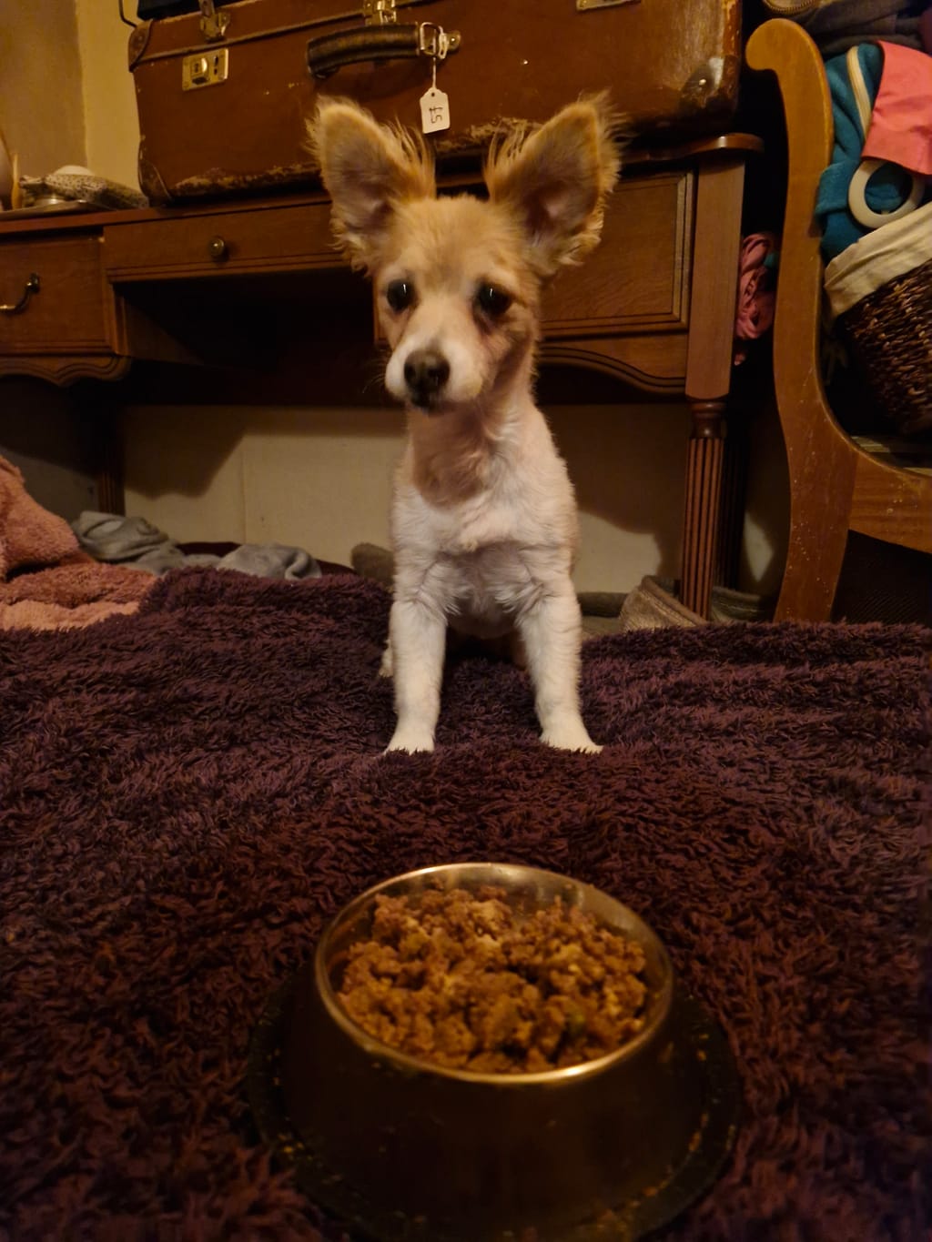Photo from Julie's review