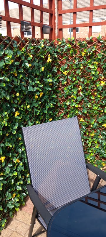 Customer review image