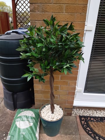 Customer review image