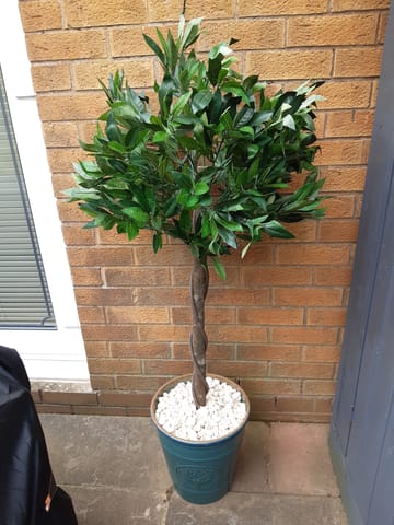 Customer review image