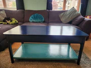 Finishing Coat Protective Decorative Top Coat Frenchic