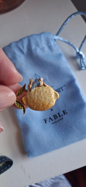 FABLE フェイブル×ピーターラビット ジェマイマ・ブローチ Fable England x Peter Rabbit Lemon Brooch – Fable England US