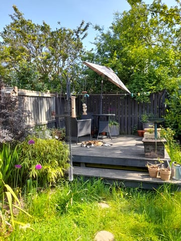 Customer review image