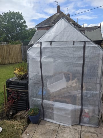 Customer review image