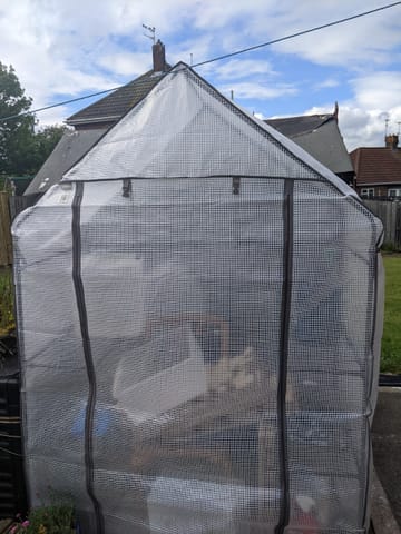 Customer review image