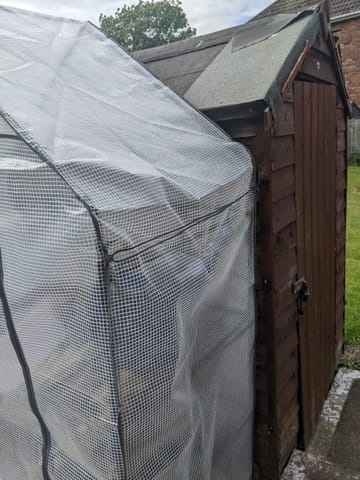 Customer review image