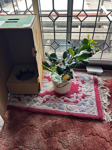 Customer Image