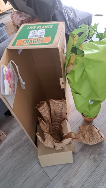 Customer Image
