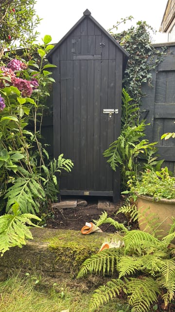 Customer review image