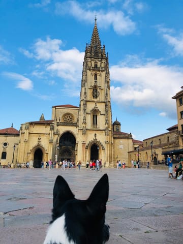 Cargando la foto de un cliente real