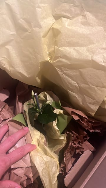 Customer Image