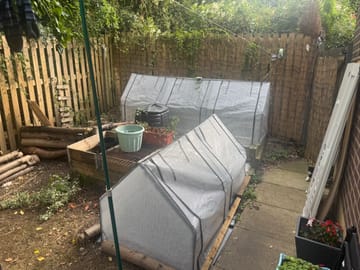 Customer review image