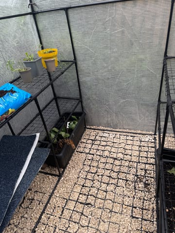 Customer review image