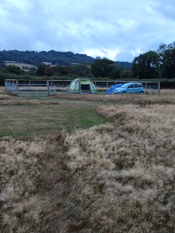 Customer review image