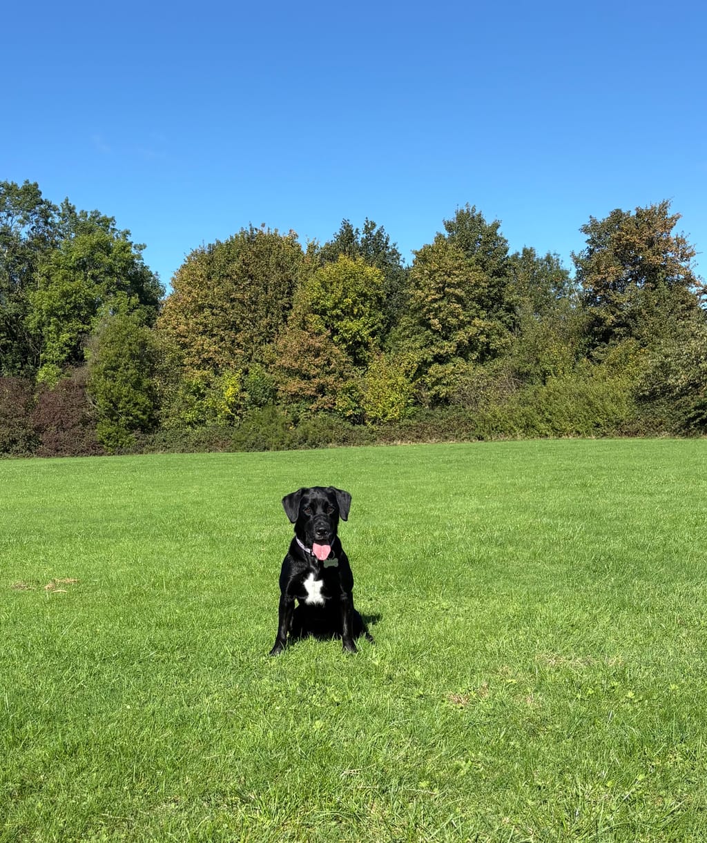 Photo from Anne Marie Nicholl's review