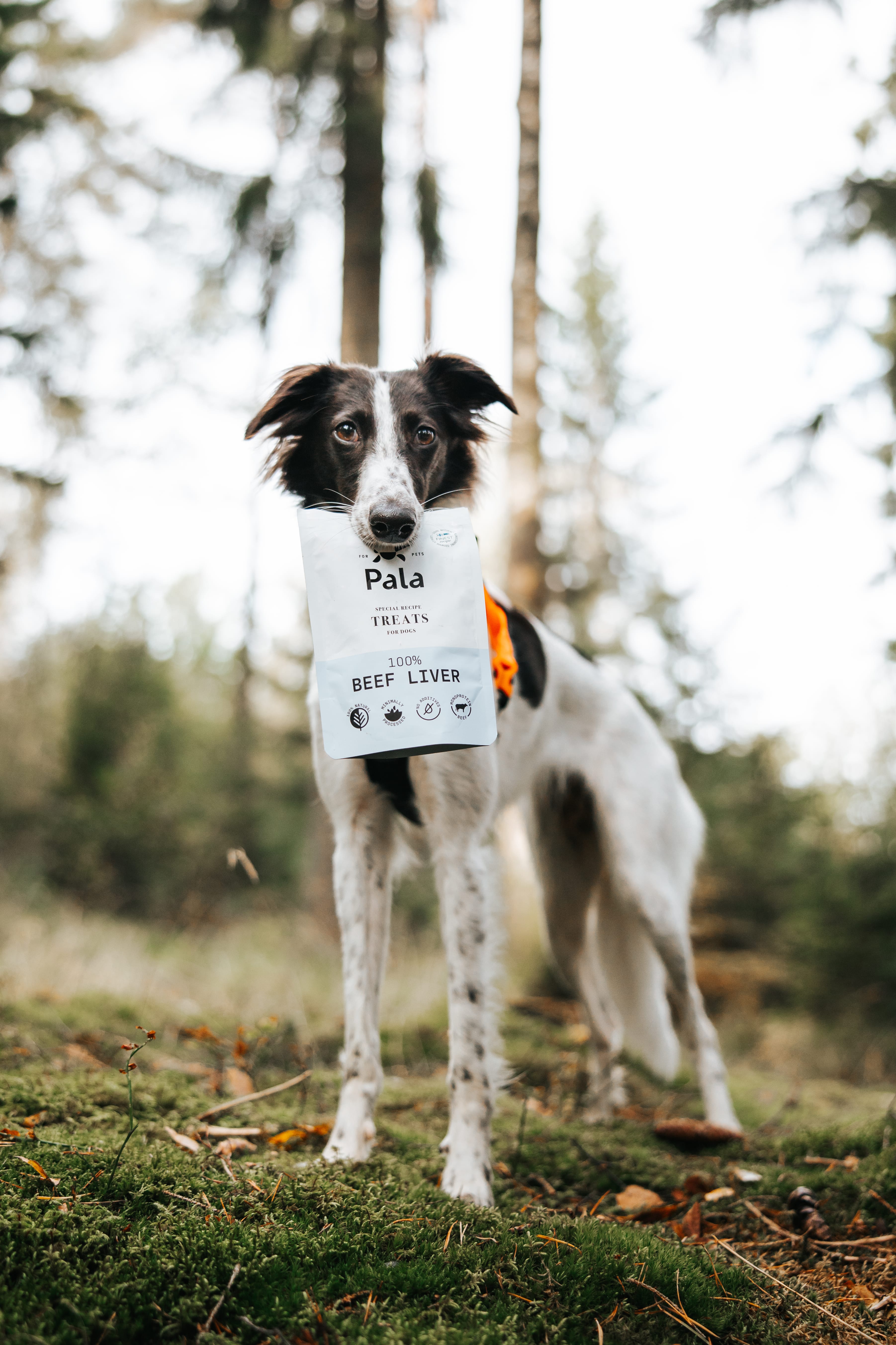 100% Beef liver Gently air-dried treats for dogs Pala