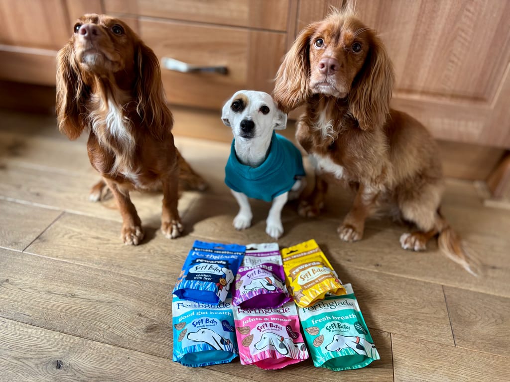 Photo from NICOLA THOMAS's review