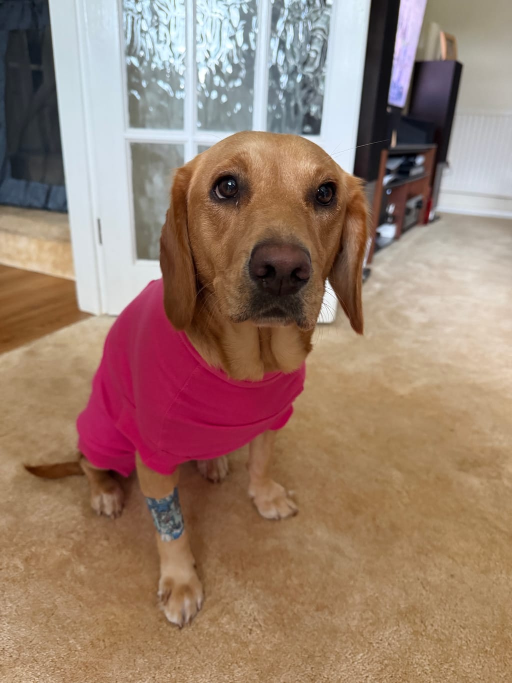 Photo from Purplekitty's review